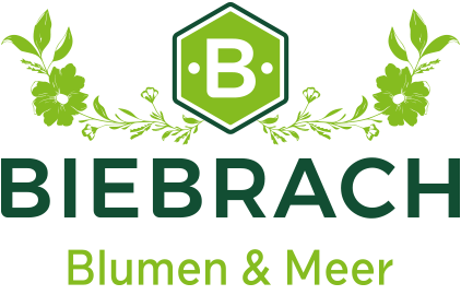 Biebrach GmbH